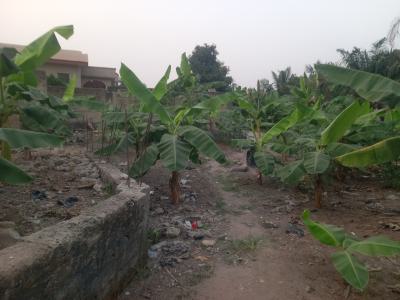 Plot 3rd Plot Main Road, Kenyasi, Near Agyawusu Junction,  Buobai Road., Kumasi Metropolitan, Ashanti, Residential Land for Sale