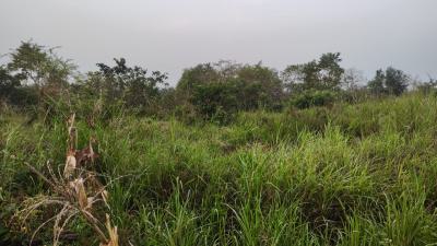 Farm Land, Helekpe, Adaklu, Volta Region, Mixed-use Land for Sale