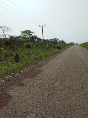 Fertile Farm Land. Price per Acre. (selling : 50 Acres and Above), Begoro Akoradarko, Fanteakwa, Eastern Region, Mixed-use Land for Sale