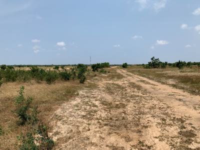 Own a Plot Near The Proposed Airport This Valentine, Tsopoli Police Barrier, Tsopoli, Ningo Prampram District, Accra, Mixed-use Land for Sale