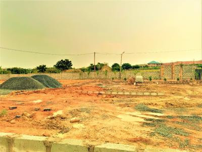 Fabulous Location Plots, Adom Estate Road, Community 25, Tema, Accra, Mixed-use Land for Sale