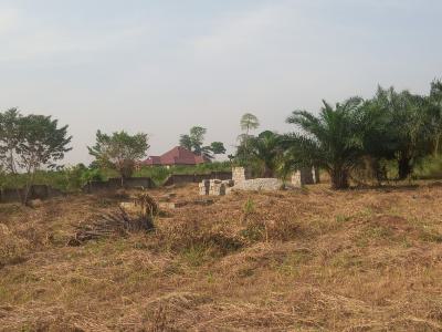 14 Plots, Mampongteng Dumanafo, Kumasi Metropolitan, Ashanti, Land for Sale