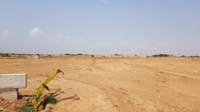 Mind Blowing Reduced Prices on Lands @ Prampram Beach Road, Prampram, Ningo Prampram District, Accra, Mixed-use Land for Sale