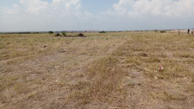 Prampram New Ningo Full Plot, Beach Road - Police Station, Ningo Prampram District, Accra, Mixed-use Land for Sale