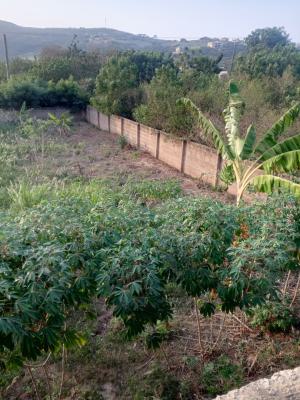 1 Plot of Land in Oyibi, Oyibi, Accra, Residential Land for Sale