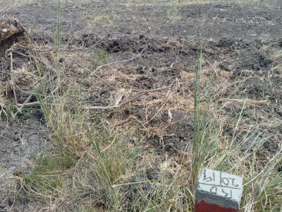 New Airport City Tsopoli Half Plot - Black Friday Promo., New Airport City, Tsopoli, Ningo Prampram District, Accra, Residential Land for Sale