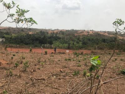 2 Plots 100 By 100 Ft Available, Atwima Kwanwoma, Atwima Kwanwoma, Ashanti, Residential Land for Sale