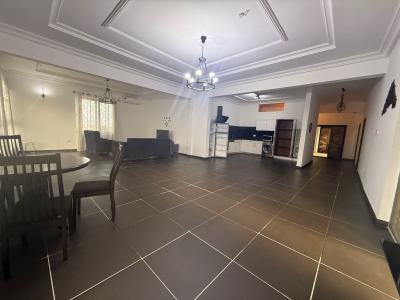 Executive 2 Bedrooms Furnished Apartment, Oxfords Street, Osu, Accra, Apartment for Rent