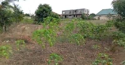 Walled 4 Plots, Action Chapel Area, Dansoman, Accra, Mixed-use Land for Sale