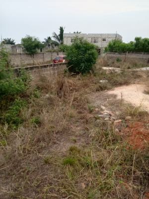 Titled 3 Plots, Obeyeyie, Amasaman, Ga West Municipal, Accra, Mixed-use Land for Sale