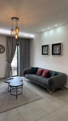 1 Bedroom Apartment with Swimming Pool and Gym, Cantonments, Accra, Mini Flat for Sale