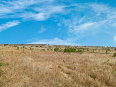 New Lands - Moderate Prices, African Ancestral Wall, Prampram, Ningo Prampram District, Accra, Mixed-use Land for Sale