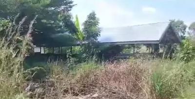 100 Acres Farm., Winamda, Kumawu/ Drobonso., Kumasi Metropolitan, Ashanti, Commercial Property for Sale