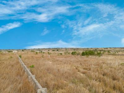 Exciting Promotion on Plots, New Ningo Police Station, Ningo Prampram District, Accra, Mixed-use Land for Sale