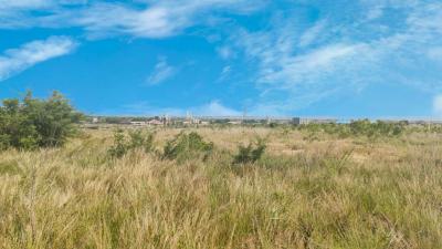 Invest in Yourself, Tsopoli Police Barrier, Tsopoli, Ningo Prampram District, Accra, Mixed-use Land for Sale