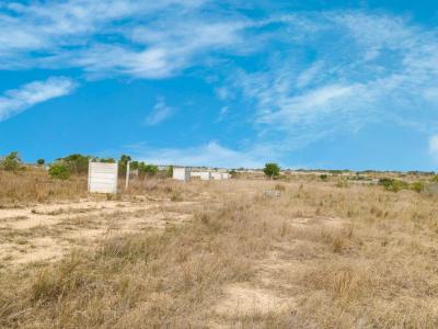Top Developing Half Plot, New Ningo, Tsopoli, Ningo Prampram District, Accra, Residential Land for Sale