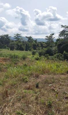Land, Akyem Bunso, Close to Lindador, Fanteakwa, Eastern Region, Residential Land for Sale