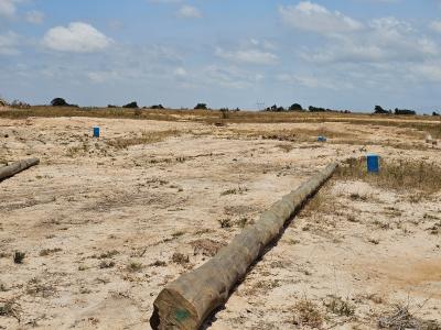 Affordable Half Plot with Land Documentation, Tsopoli, Ningo Prampram District, Accra, Mixed-use Land for Sale