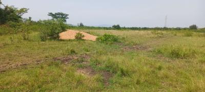 Lands in Akuse, Akuse-eastern, Lower Manya Krobo, Eastern Region, Mixed-use Land for Sale