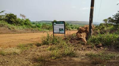 Farm Land in Abutia-ho, Abutia-ho, Ho Municipal, Volta Region, Commercial Land for Sale