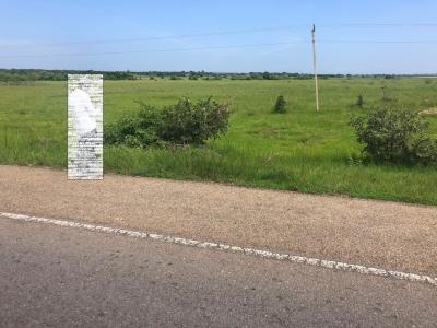 Tema - Afloat Road, Tema-aflao Road Ningo, Tema West Municipal District, Accra, Commercial Land for Sale