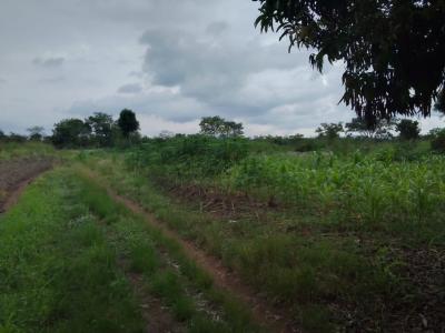 Farm Land in Peki, Peki(dededo), South Dayi, Volta Region, Commercial Land for Sale