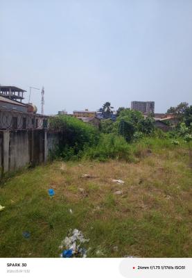 Oxford Street Osu, Oxford Street Osu, Osu, Accra, Commercial Land for Sale