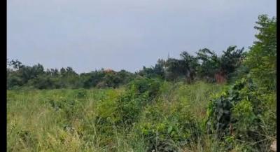 Prime Area Land, Ayi Mensah, La Nkwantanang Madina Municipal, Accra, Mixed-use Land for Sale