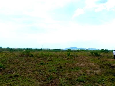 Prime Roadside Land -- Between Winneba & Apam  Ghs 160,000, Winneba, Effutu Municipal, Central Region, Mixed-use Land for Sale