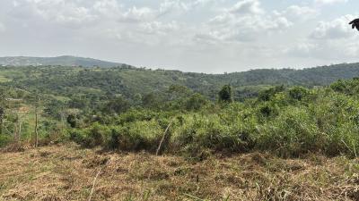 Executive Land, Aburi, Akuapim South Municipal, Eastern Region, Land for Sale