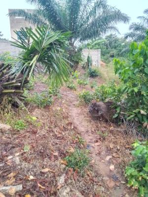 Executive Land, Aburi, Akuapim South Municipal, Eastern Region, Land for Sale