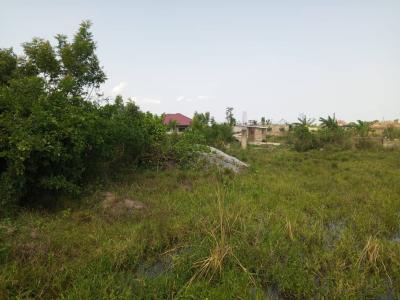 2 Plots of Land, Ashallaja, Amasaman, Ga West Municipal, Accra, Residential Land for Sale