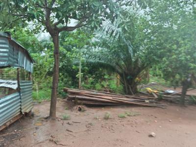 6 Plots      ( Developed Site/ Area), Kodie Apagya, Near Nursing Training School., Kumasi Metropolitan, Ashanti, Land for Sale