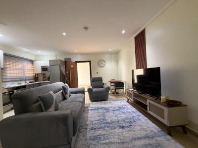 Furnished 2 Bedroom Apartment with Swimming Pool, Dzorwulu, West Airport, Airport Residential Area, Accra, Apartment for Rent