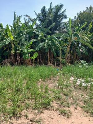Dansoman Plot of Land, Alpha Beta, Dansoman, Accra, Land for Sale
