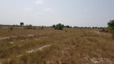 Glowing Community Hub, Tsopoli, Accra Metropolitan, Accra, Residential Land for Sale