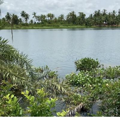 Waterfront/river Land, Affordable Land, Sogakope, Accra - Aflao Highway, Sokpoe- Agave Road, South Tongu, Volta Region, Mixed-use Land for Sale