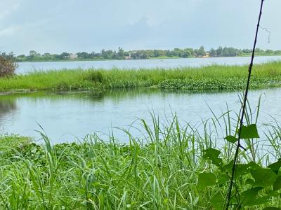 Affordable Riverfront Land (Litigation-Free & Dispute-Free Property) — Sogakope, Accra - Aflao Highway, Sokpoe- Agave Road, South Tongu, Volta Region