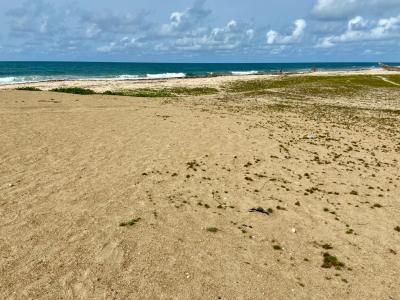 Ocean View Land, Ada Foah, Pute - Elavanyo Road, Ada Training College, Ada Foah, Ada East, Accra, Mixed-use Land for Sale