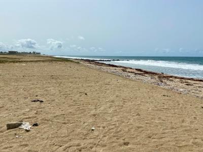 Beachfront Land in Ada Ocanseykope, Ada Foah Ghana  Titled Land, Ada Foah, Ocanseykope-pute Elavanyo Road, Ada Foah, Ada East, Accra, Mixed-use Land for Sale