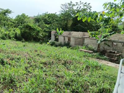 Half Plot   90*40 Ft, Adankwaame, on Abrepo Barekese Road., Kumasi Metropolitan, Ashanti, Residential Land for Sale