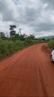 Registered 4 Plots By Main Road, Adukrom, Akuapim North, Eastern Region, Mixed-use Land for Sale