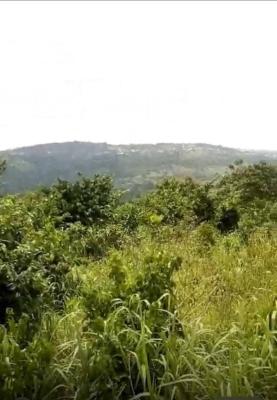Registered 40 Acres Flat, Adukrom, Akuapim North, Eastern Region, Mixed-use Land for Sale
