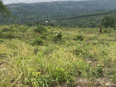 Registered 40 Acres Land — Adukrom, Akuapim North, Eastern Region