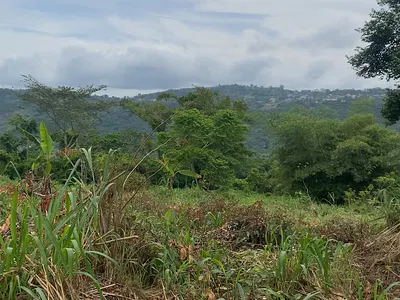 Registered 40 Acres Flat