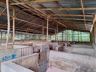 Fully Fitted Pig Farm House, Koforidua, Eastern Region, Mixed-use Land for Sale