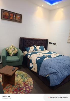 Studio Apartment, Osu Oxford Street, Osu, Accra, Apartment for Rent