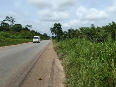 16 Plots Highway Road Side ( Kumasi Bibiani Road), Otakrom, Near Nyinahin, Kumasi Metropolitan, Ashanti, Mixed-use Land for Sale