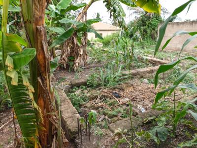 Hostel Plot/ Land., Between Ayeduase and Kotei,twumduase, Knust., Kumasi Metropolitan, Ashanti, Commercial Land for Sale