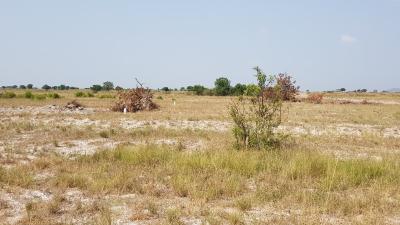 Limited Plots Available -act Fast, Tsopoli, Accra Metropolitan, Accra, Residential Land for Sale